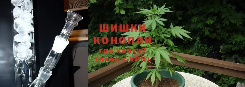 Шишки марихуана OG Kush  Вязники 